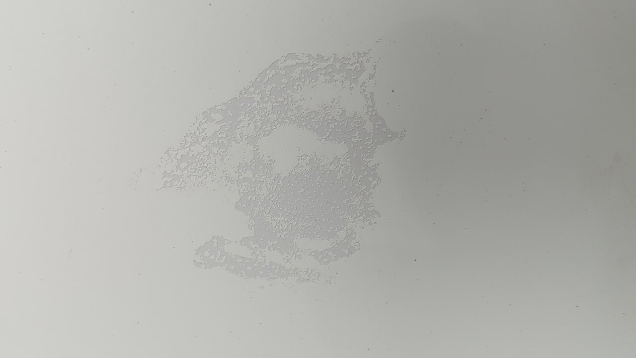 CAPO RENAULT KANGOO - vista 3