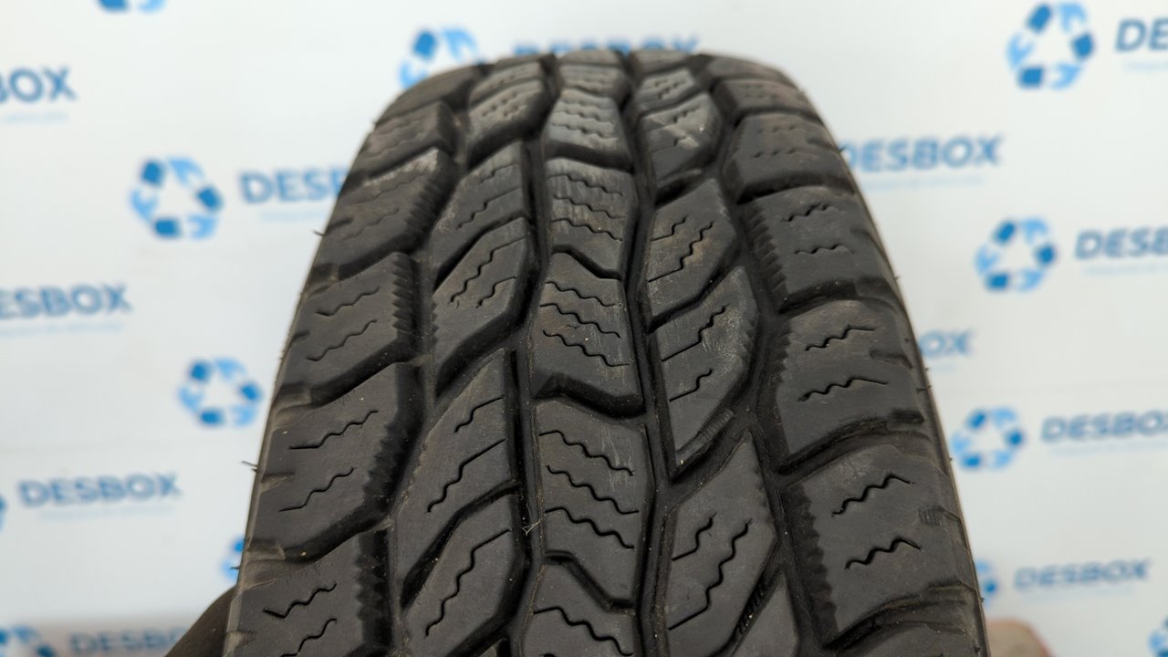 NEUMATICO - vista 11