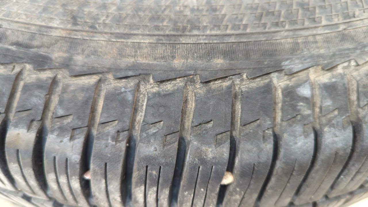 NEUMATICO - vista 14