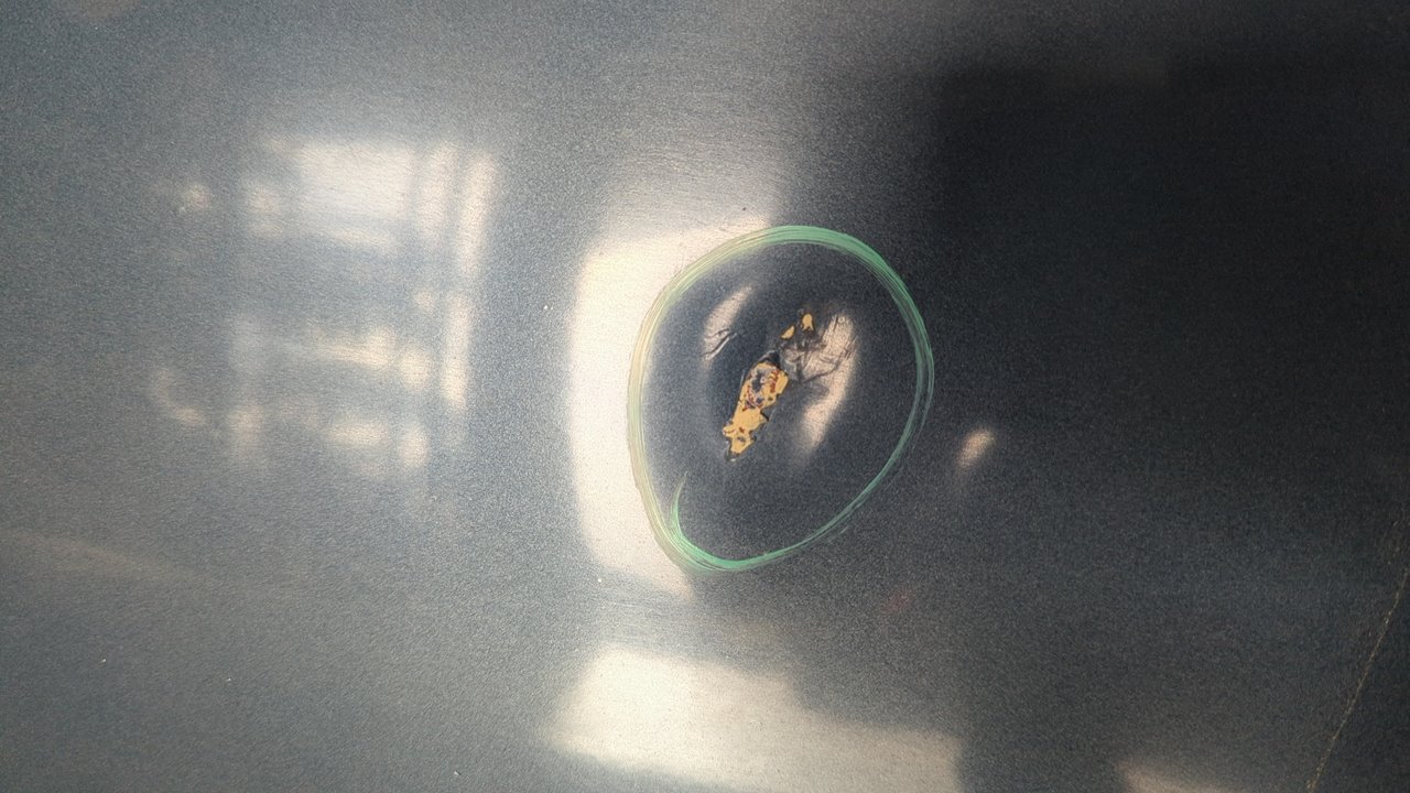 ALETA DELANTERA DERECHA MERCEDES-BENZ CLASE S (W126) - vista 2