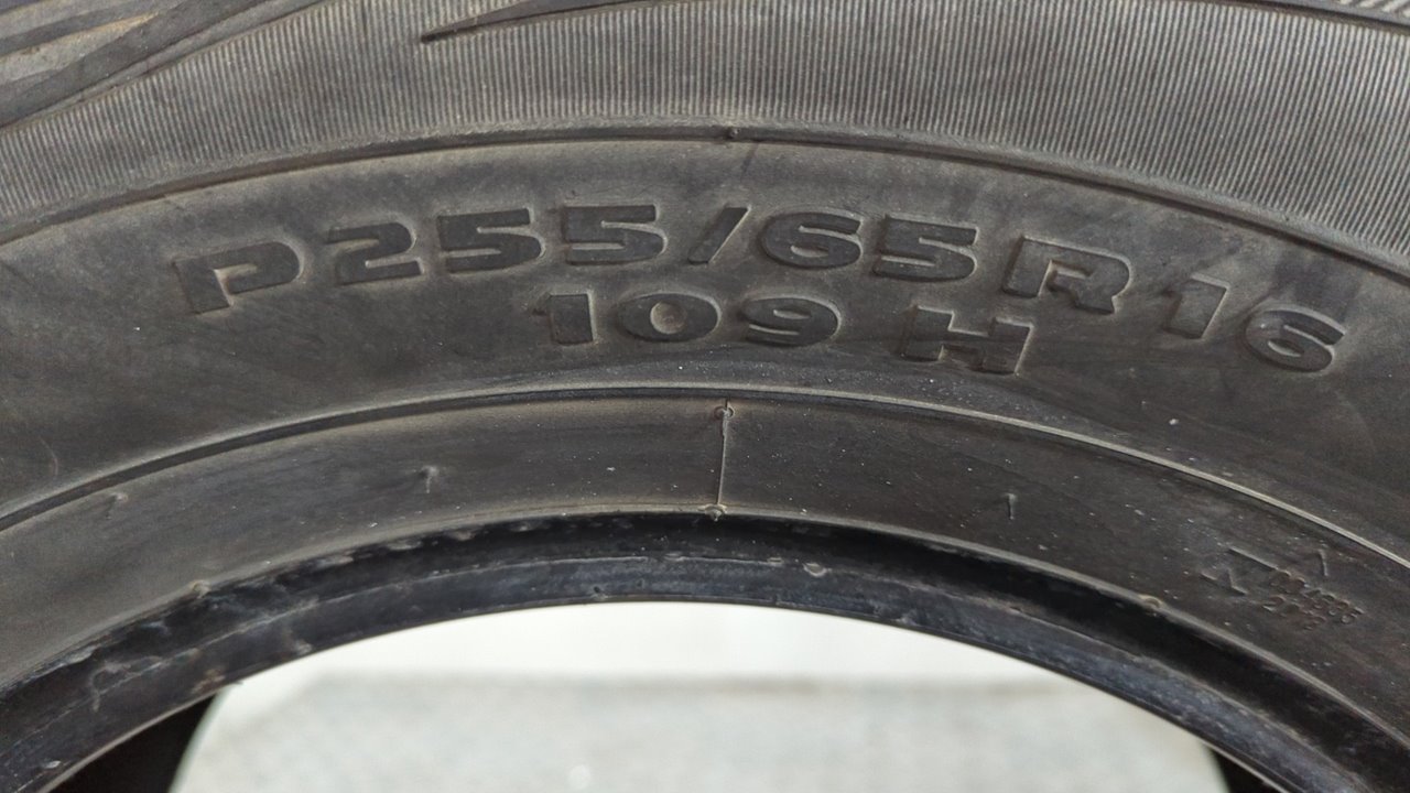 NEUMATICO - vista 12