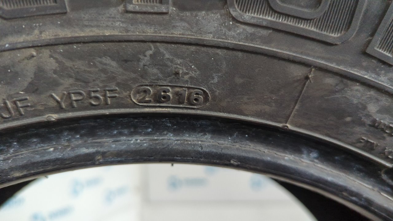 NEUMATICO - vista 10