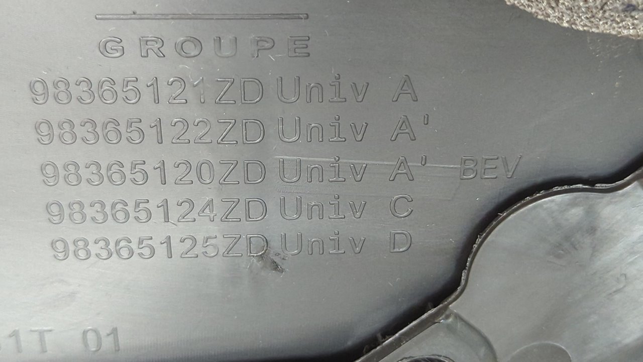 GUARNECIDO PUERTA TRASERA IZQUIERDA CITROEN E-C4 - vista 8