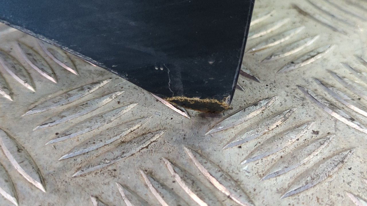 CAPO FORD RANGER (EQ) - vista 4