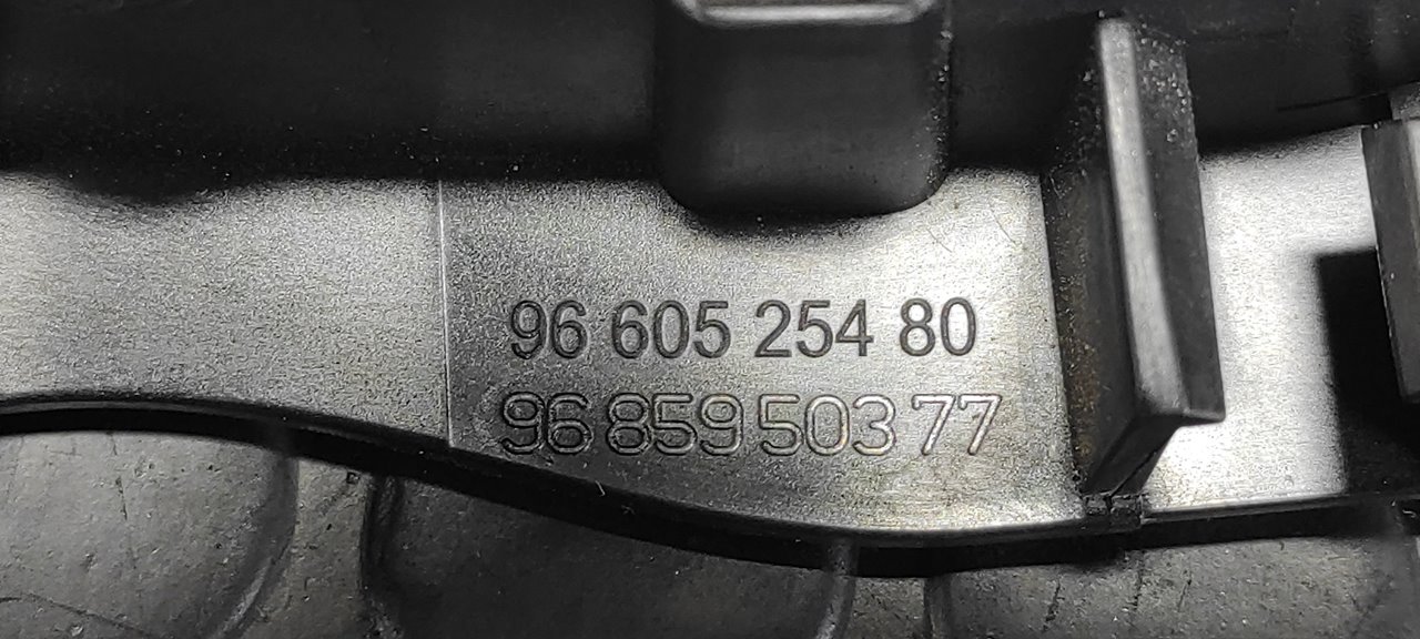 MANETA INTERIOR TRASERA IZQUIERDA CITROEN C5 BERLINA - vista 3