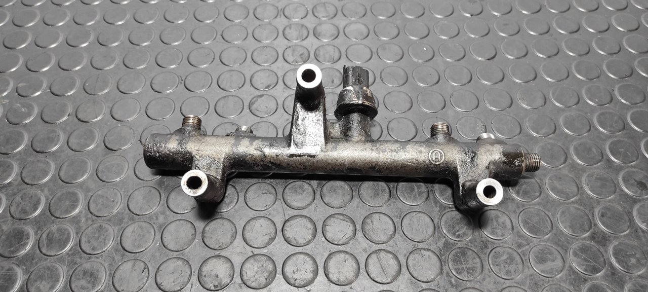 RAMPA INYECTORA FORD KUGA (CBS) - vista 6