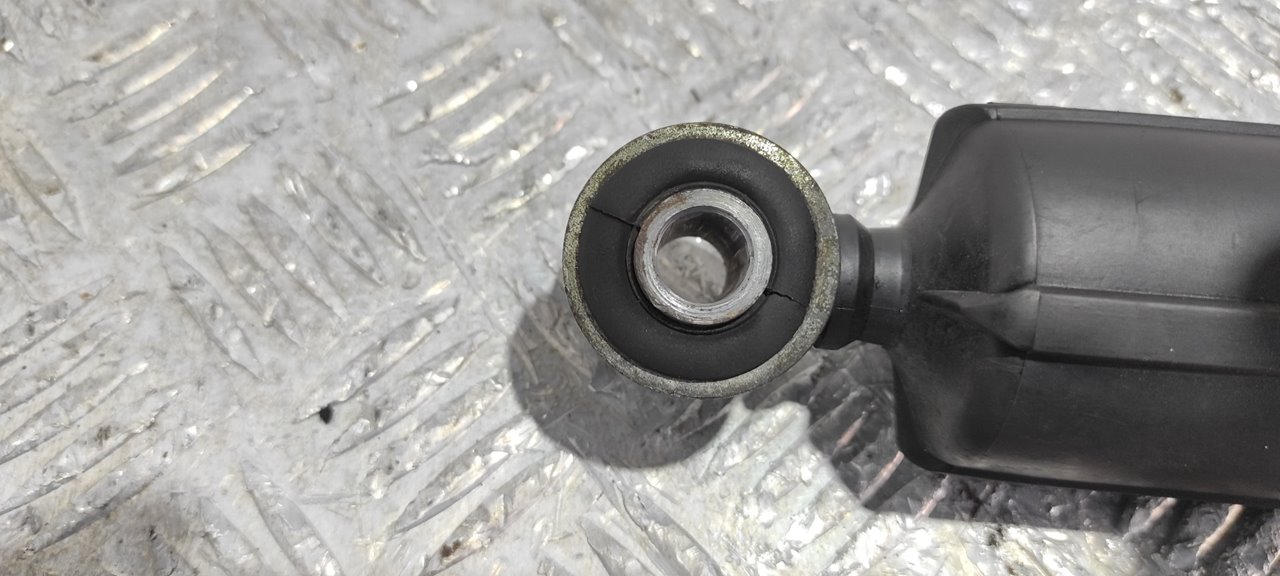 JUEGO AMORTIGUADORES TRASEROS NISSAN INTERSTAR MOD. 04 (X70) - vista 8