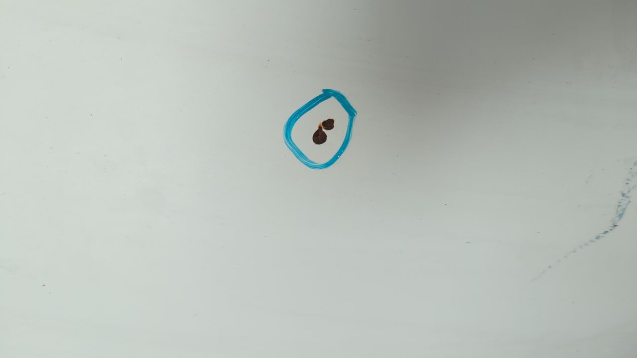 CAPO FORD TRANSIT, CAJA ABIERTA 86/92 - vista 5