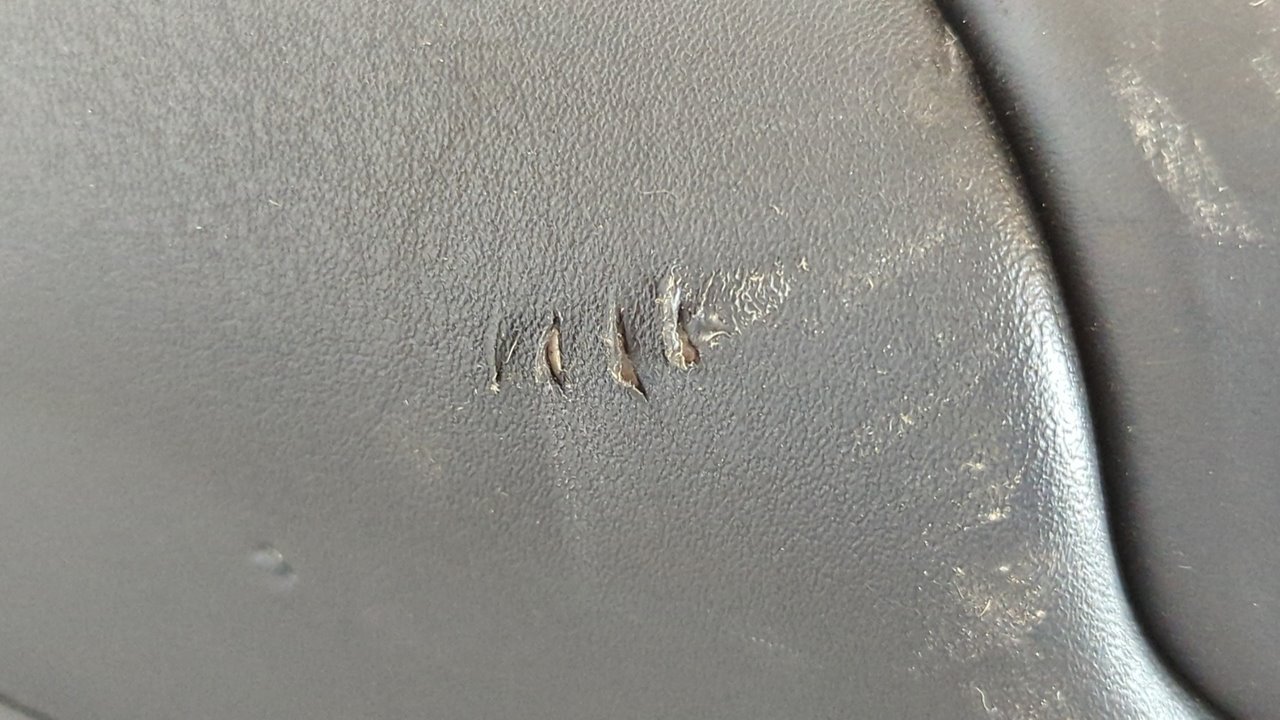 GUARNECIDO PUERTA TRASERA DERECHA LAND ROVER RANGE ROVER SPORT - vista 6