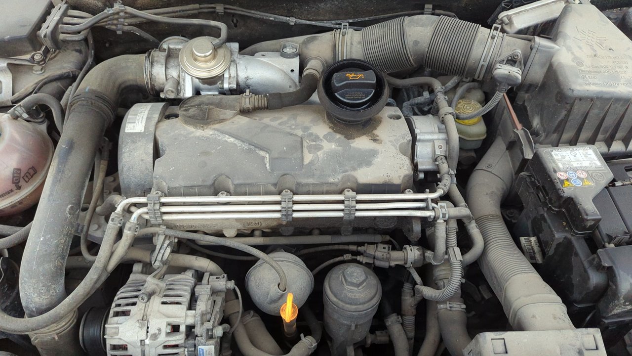 Vista 12