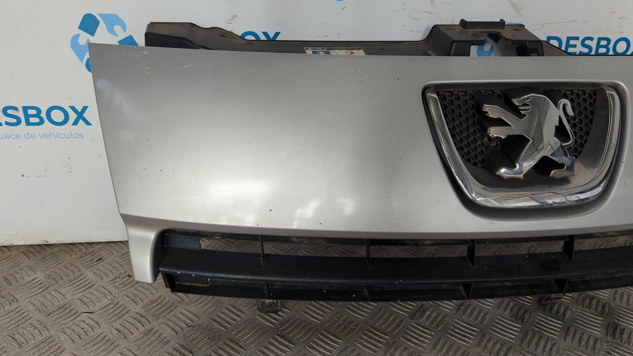 REJILLA DELANTERA PEUGEOT EXPERT KASTEN - vista 2