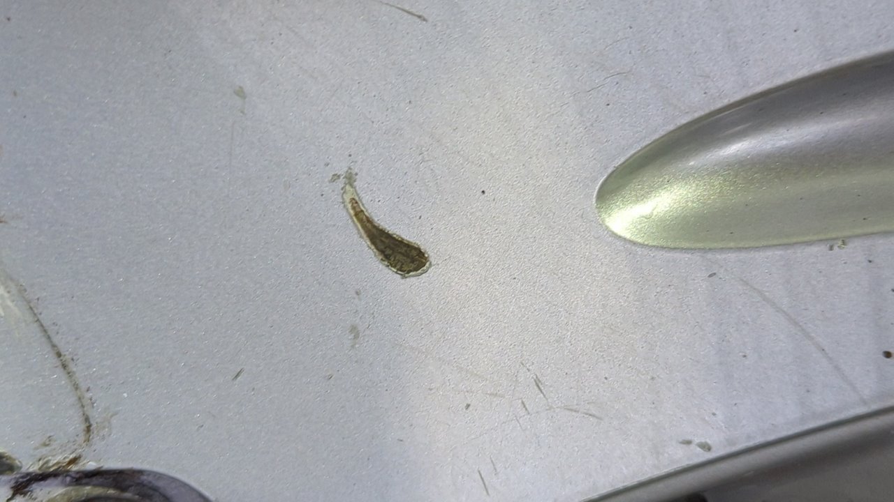 JUEGO LLANTAS SSANGYONG MUSSO - vista 7