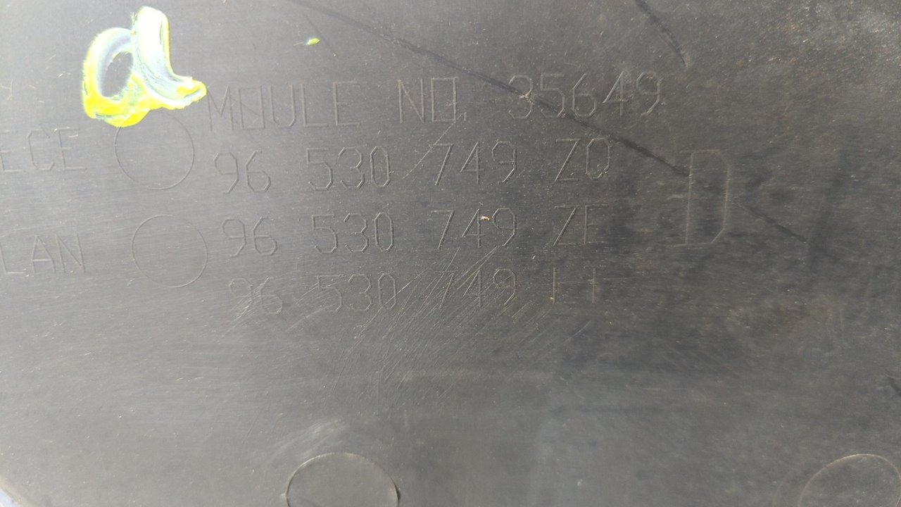 GUARNECIDO PUERTA DELANTERA DERECHA CITROEN C3 - vista 6