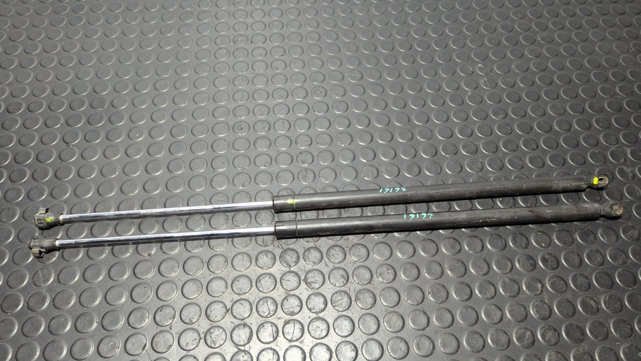 AMORTIGUADORES MALETERO / PORTON PEUGEOT PARTNER (S1)