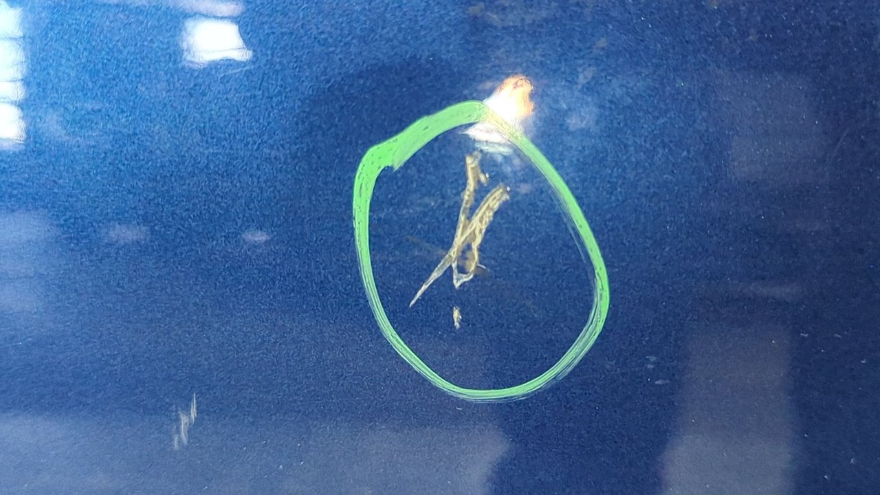 PUERTA DELANTERA DERECHA MERCEDES-BENZ CLASE CLK (W209) COUPE - vista 6