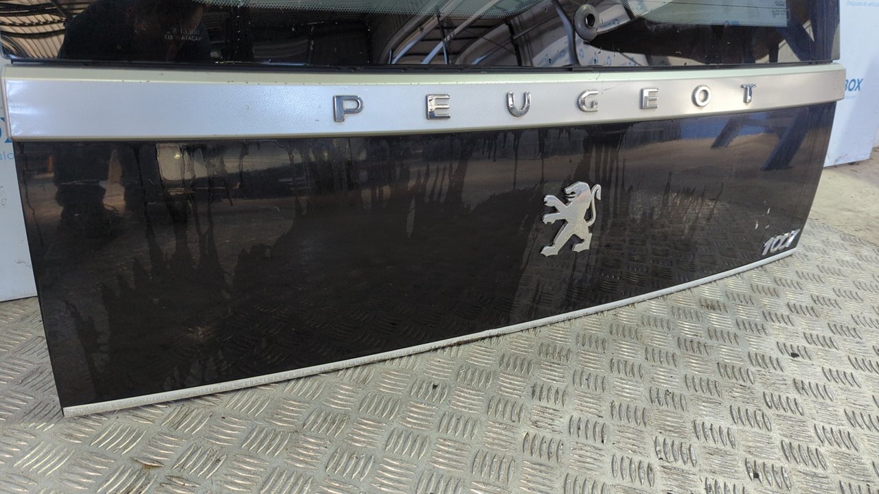 PORTON TRASERO PEUGEOT 1007 - vista 7