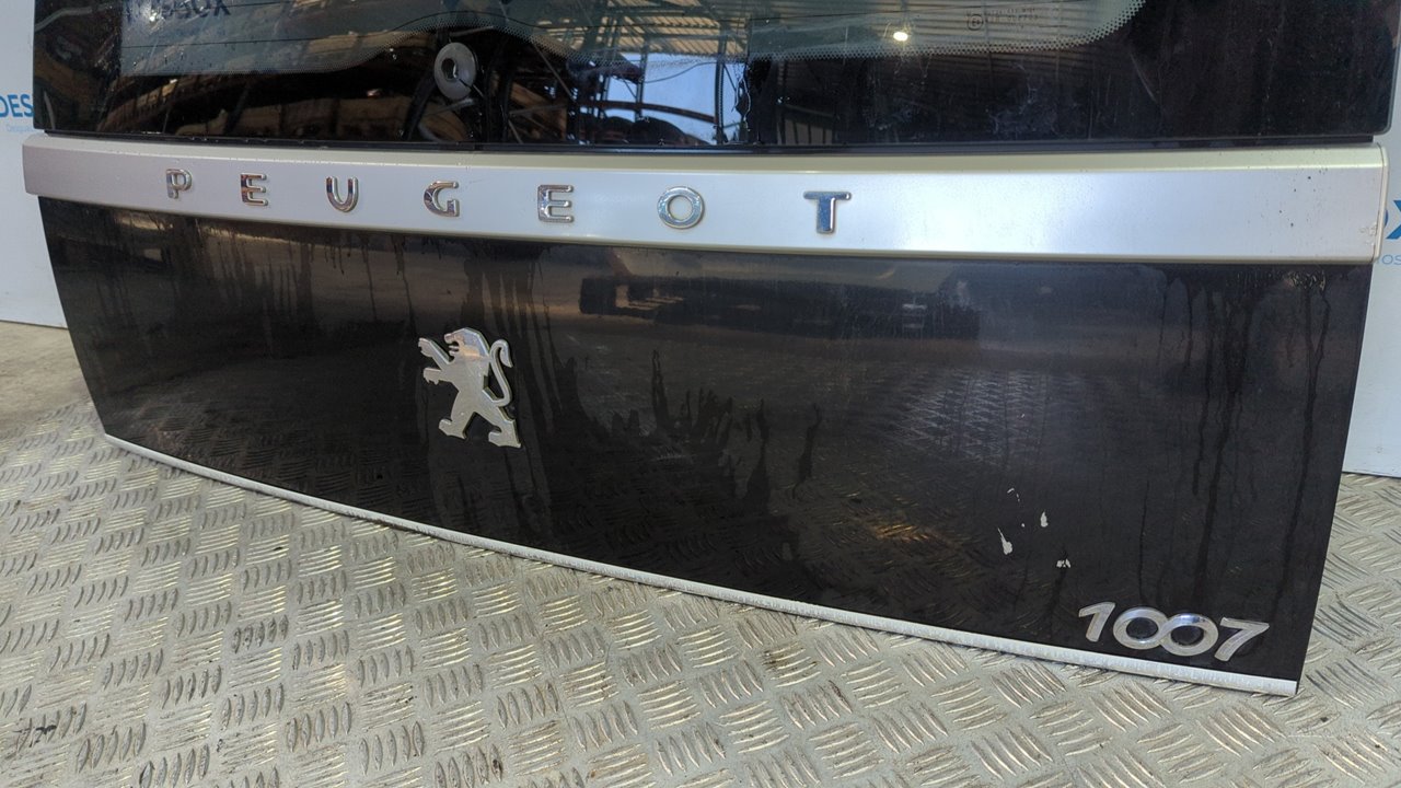 PORTON TRASERO PEUGEOT 1007 - vista 6