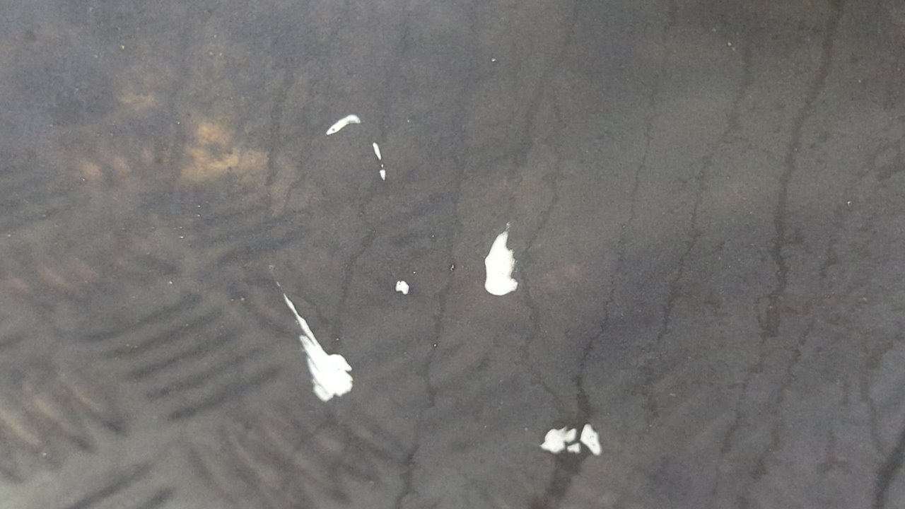 PORTON TRASERO PEUGEOT 1007 - vista 2