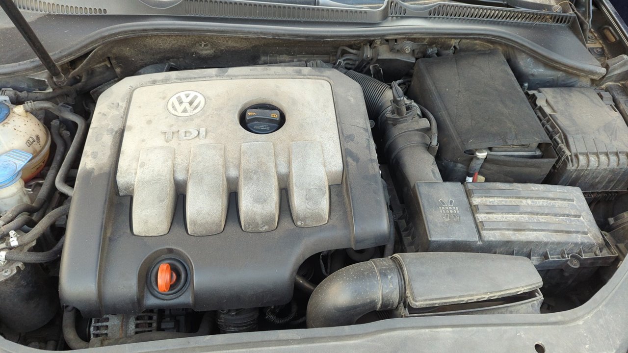 TRANSMISION DELANTERA DERECHA VOLKSWAGEN GOLF V BERLINA (1K1) - vista 12