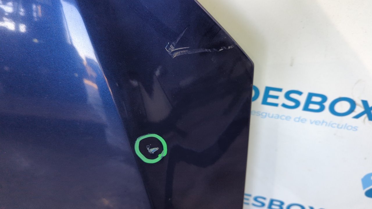 CAPO VOLKSWAGEN GOLF PLUS (521) - vista 8