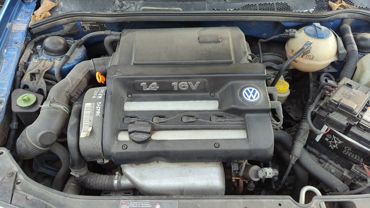 Vista 11