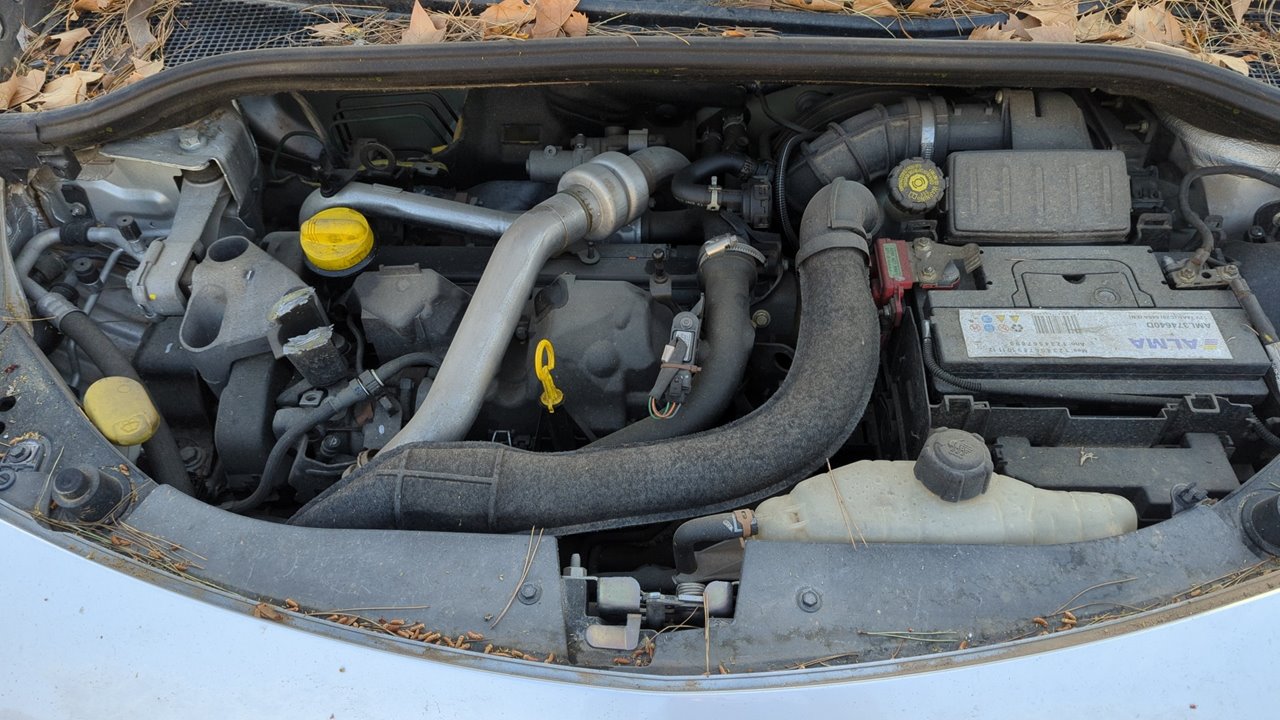 PUERTA DELANTERA DERECHA RENAULT CLIO III - vista 9