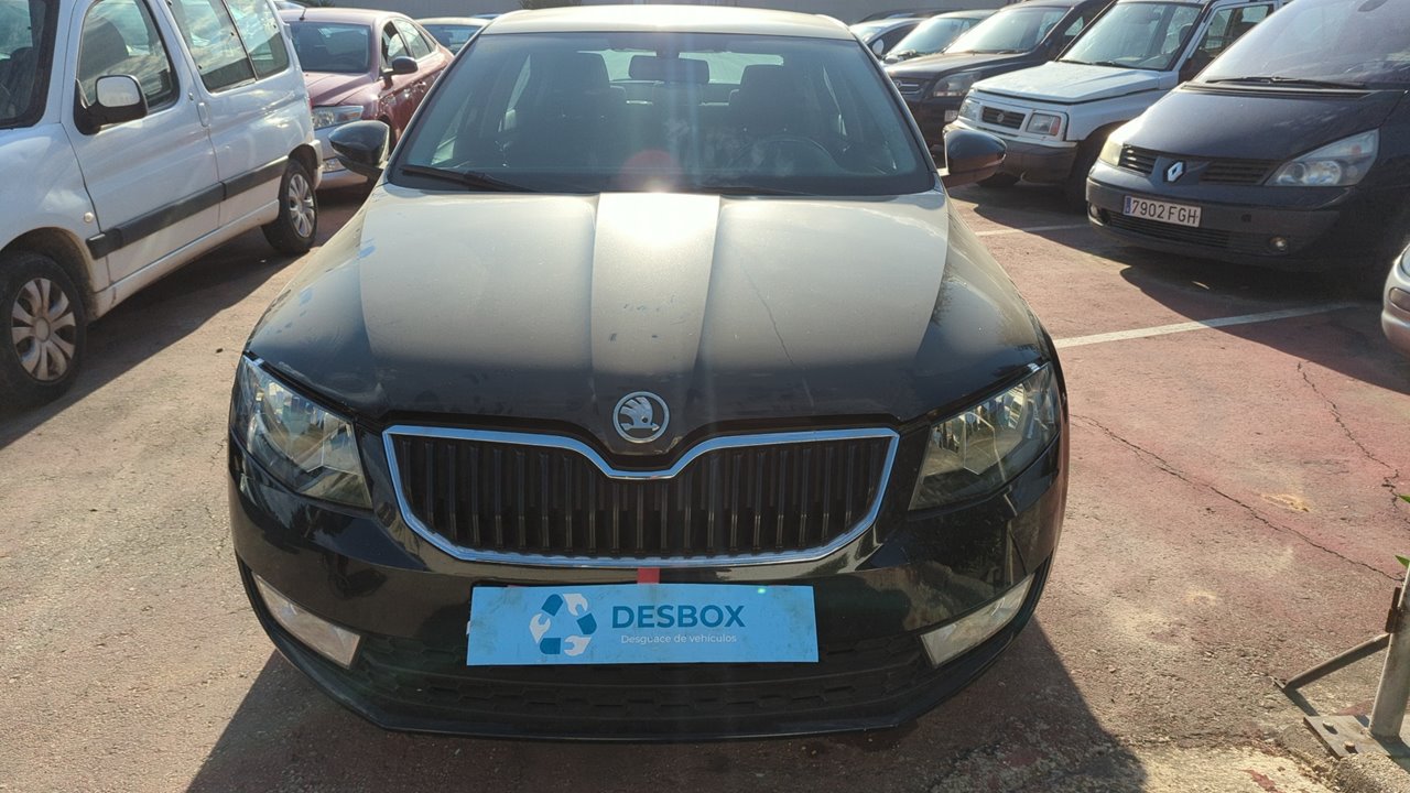PUERTA TRASERA IZQUIERDA SKODA OCTAVIA BERLINA (1Z3) - vista 23