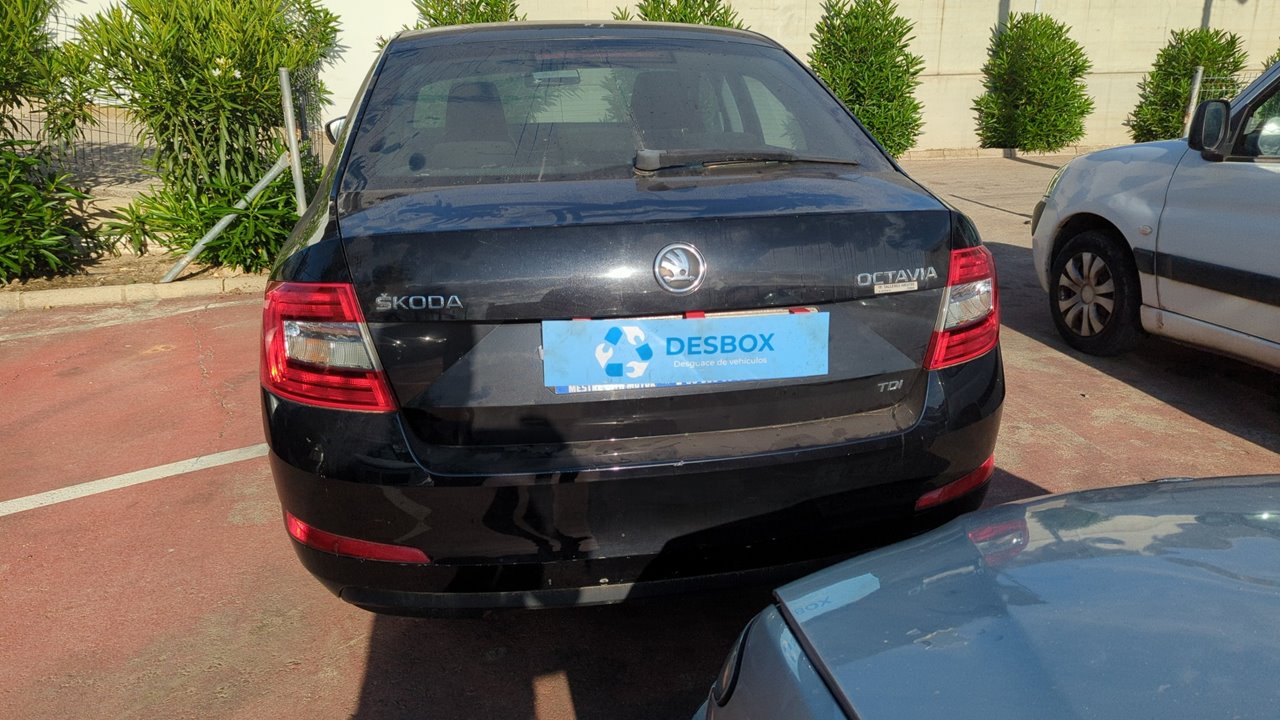 PUERTA TRASERA IZQUIERDA SKODA OCTAVIA BERLINA (1Z3) - vista 17