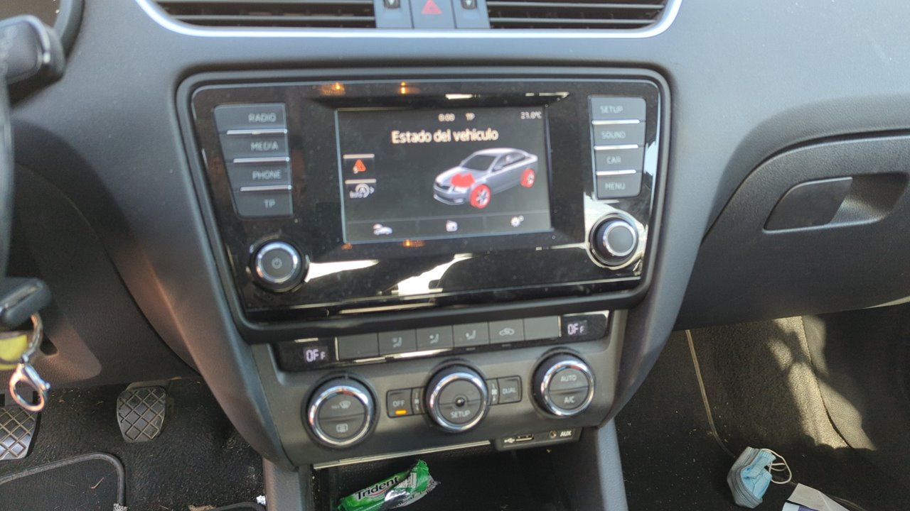 PUERTA TRASERA IZQUIERDA SKODA OCTAVIA BERLINA (1Z3) - vista 10