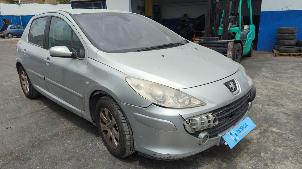 PEUGEOT 307 BERLINA (S2)