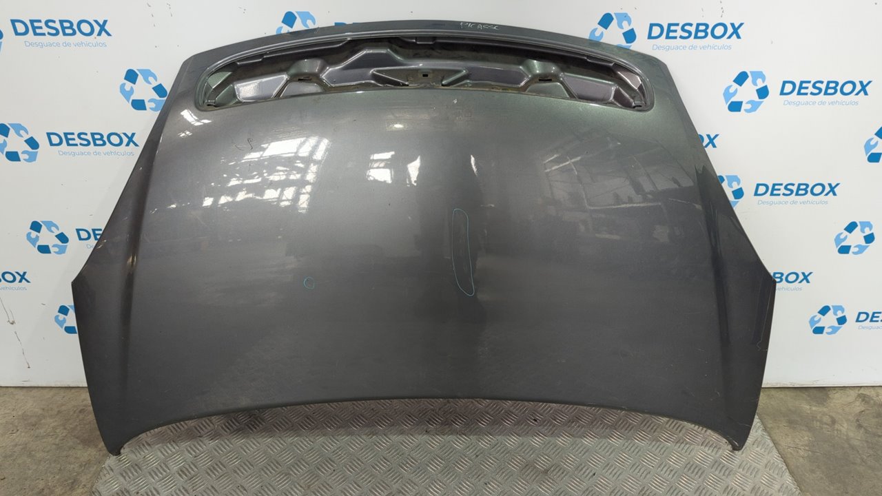 CAPO CITROEN XSARA PICASSO 2.0 HDI CAT (RHY / DW10TD)