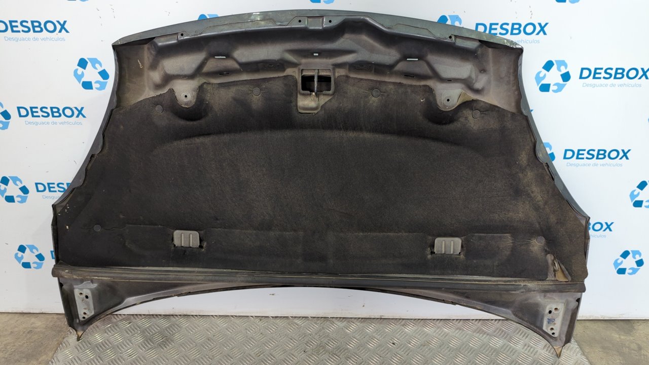 CAPO CITROEN XSARA PICASSO 2.0 HDI CAT (RHY / DW10TD) - vista 2