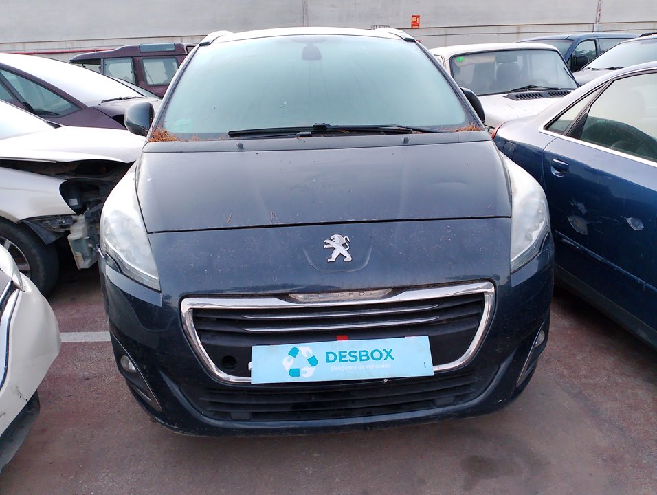 PUERTA TRASERA IZQUIERDA PEUGEOT 5008 - vista 10