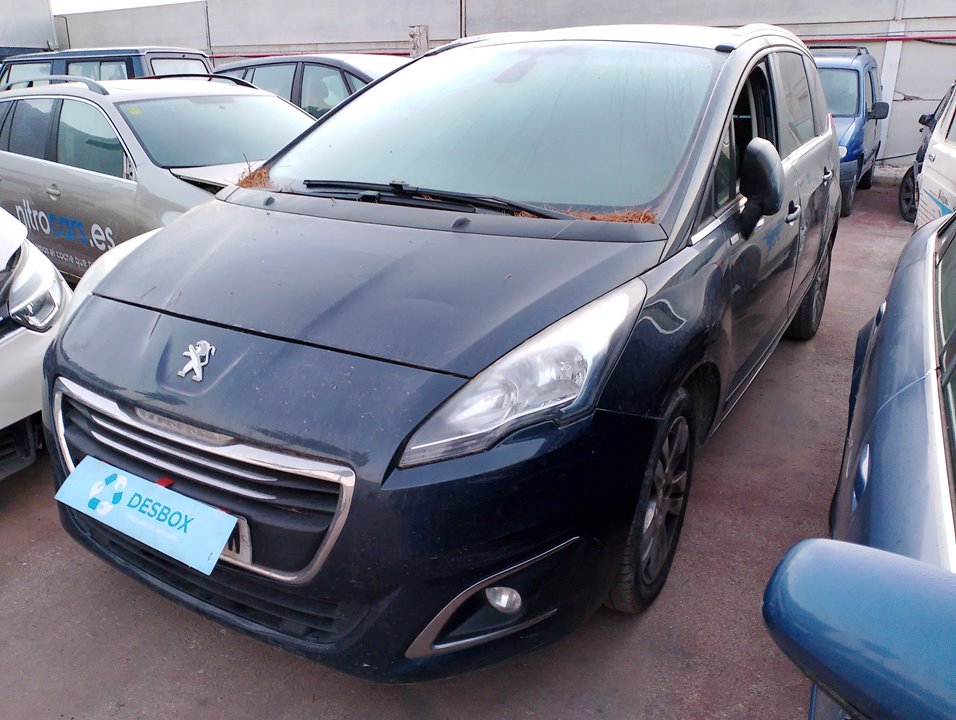 PUERTA TRASERA IZQUIERDA PEUGEOT 5008 - vista 11