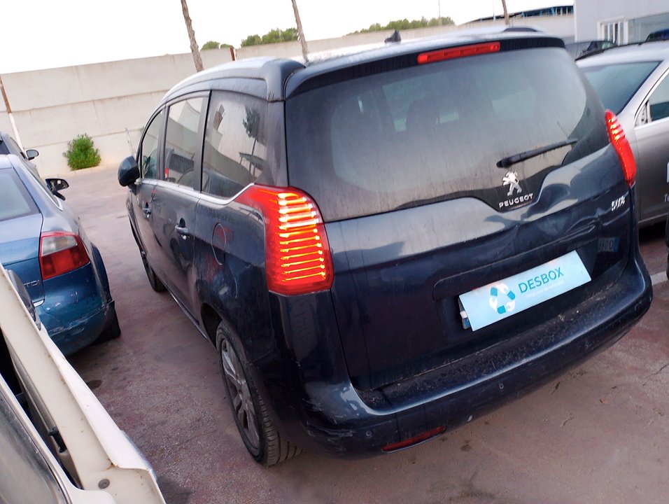 PUERTA TRASERA IZQUIERDA PEUGEOT 5008 - vista 13