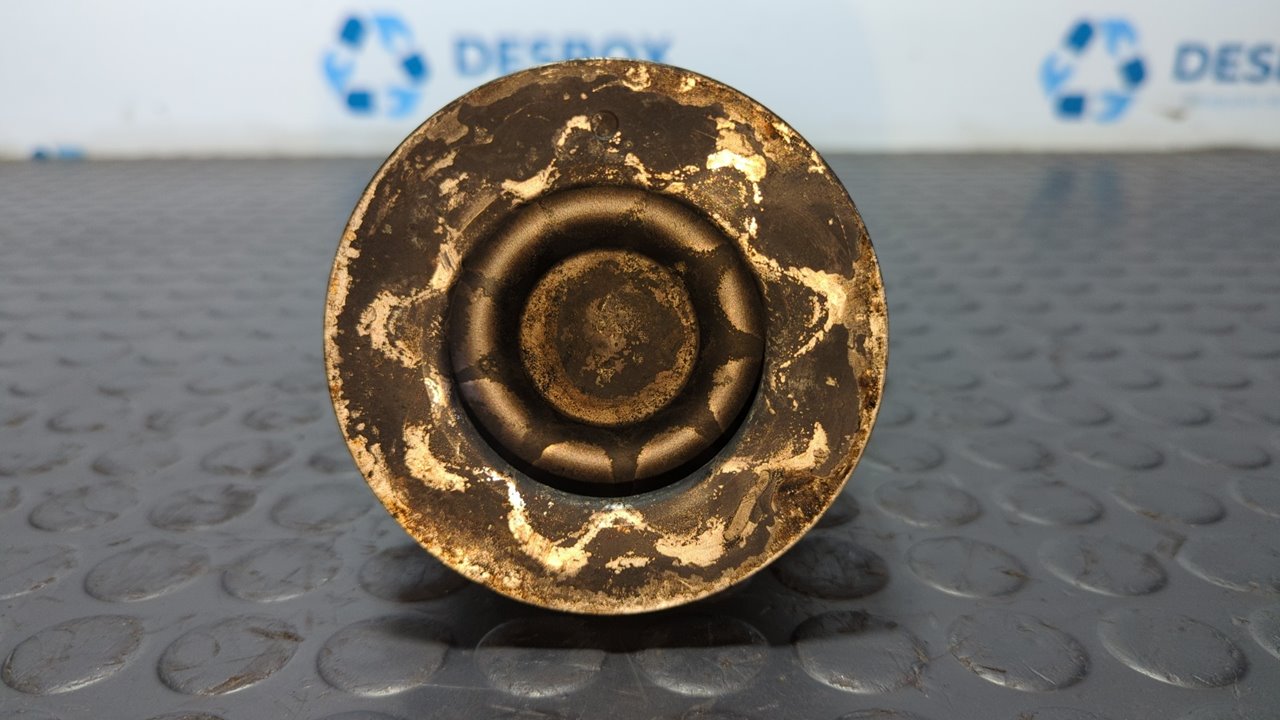 PISTON RENAULT MAXITY - vista 2