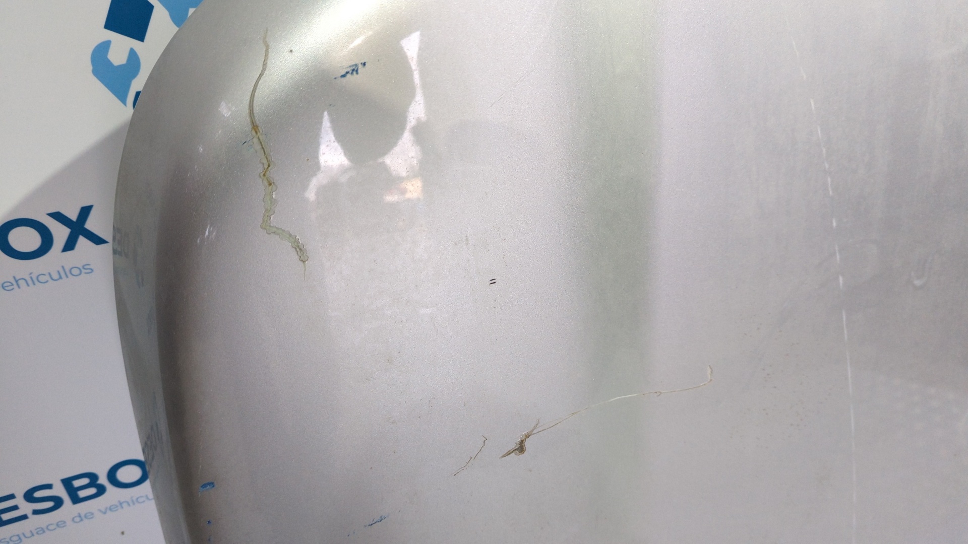 CAPO LAND ROVER FREELANDER - vista 6