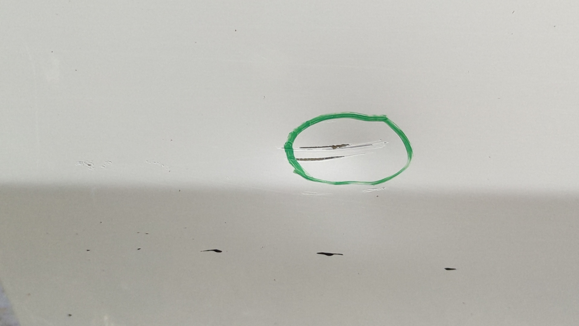 PUERTA DELANTERA DERECHA FIAT DOBLO (119) - vista 5