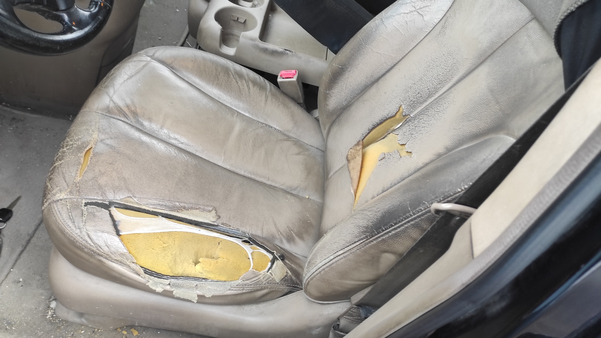 AMORTIGUADORES MALETERO / PORTON KIA CARNIVAL II - vista 6