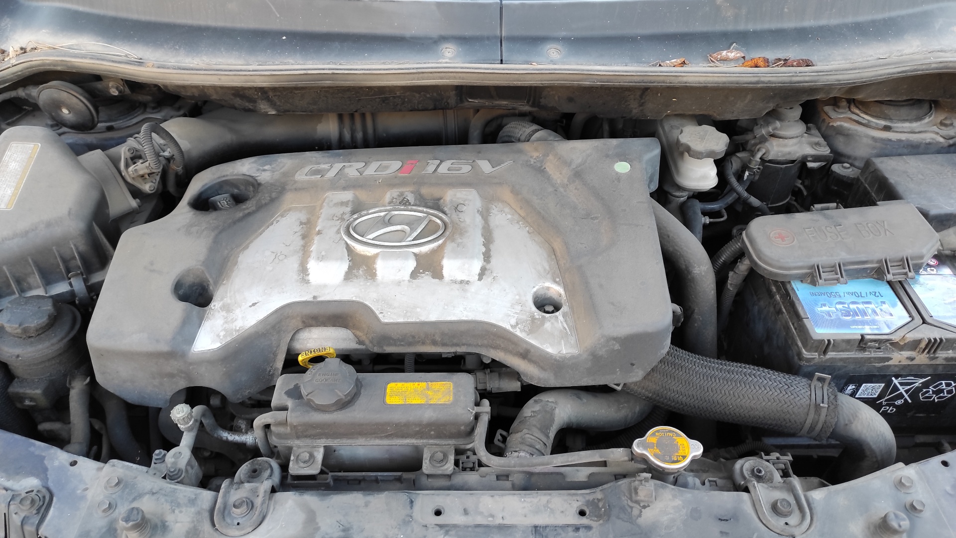 PUERTA DELANTERA DERECHA HYUNDAI MATRIX (FC) - vista 6