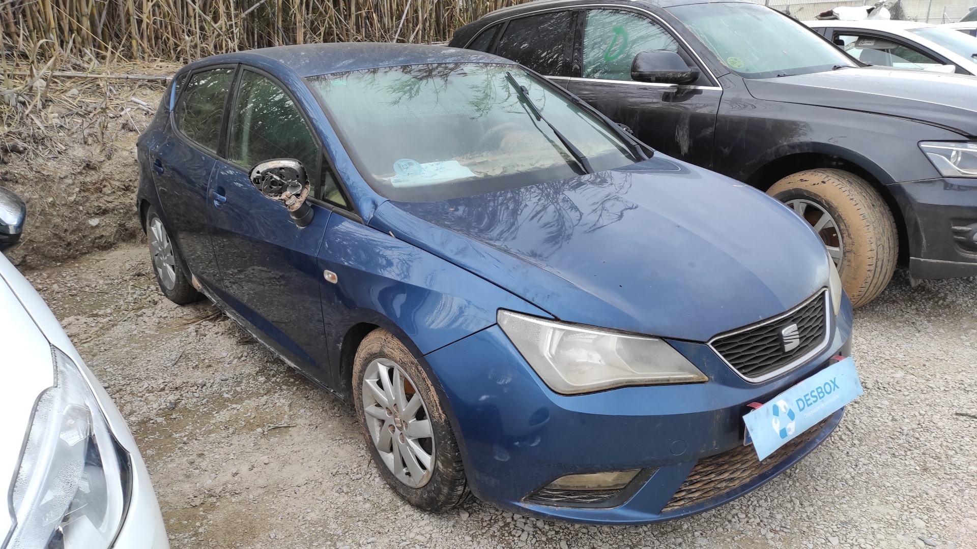 SEAT IBIZA (6J5)