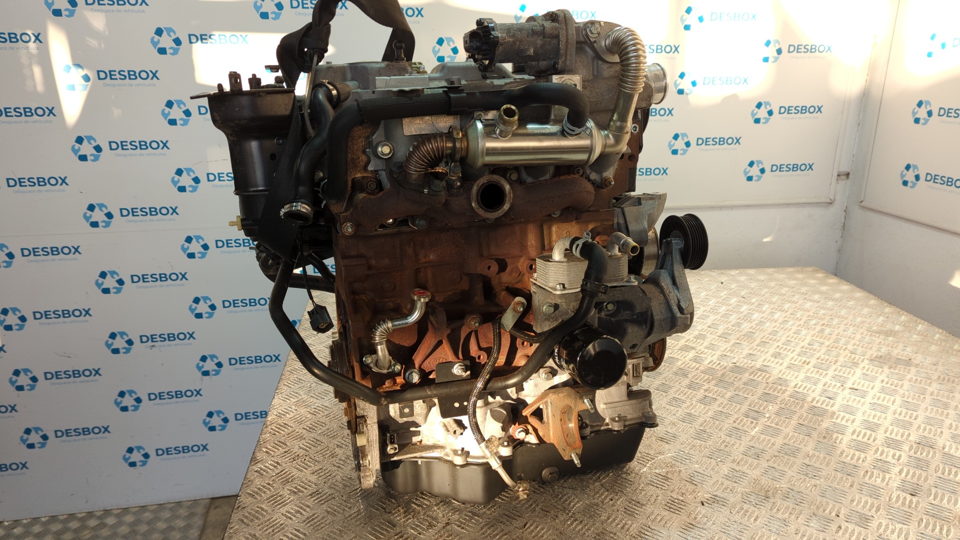 MOTOR FORD FOCUS BERLINA (CAP) - vista 3