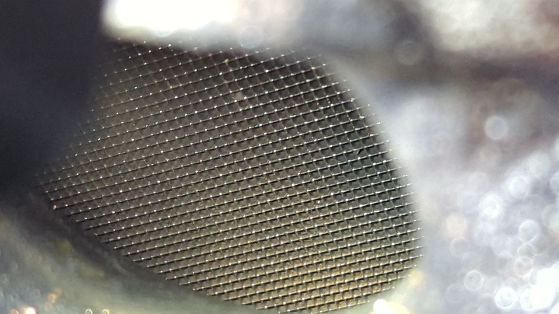 FILTRO DE PARTICULAS KIA CEE'D - vista 8