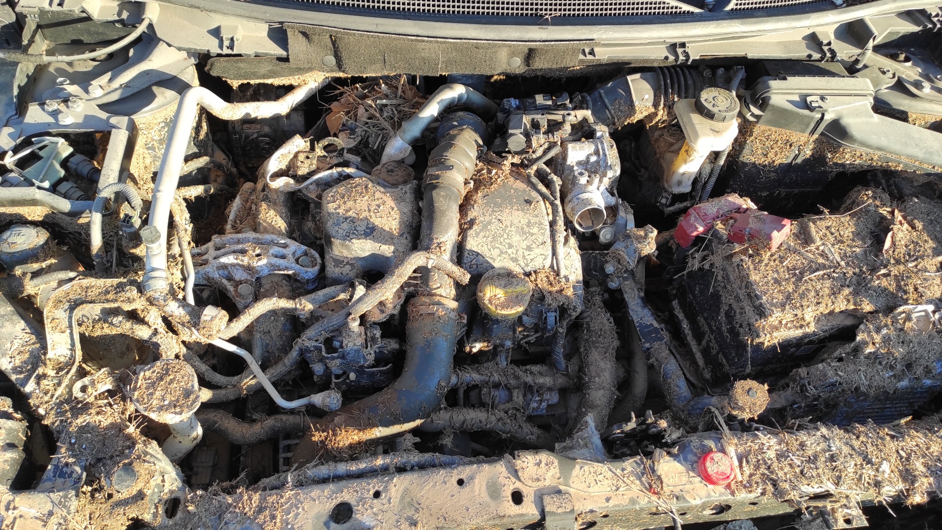 BOMBA FRENO NISSAN QASHQAI (J11) - recambio desguace - vista 5