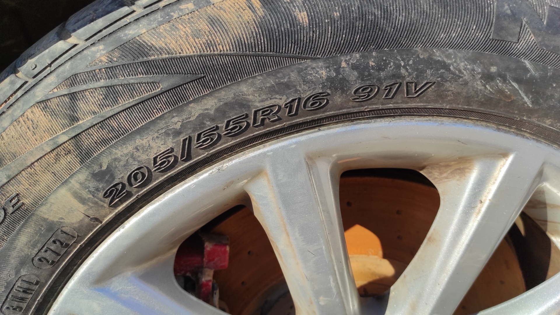 CINTURON DELANTERO DERECHO FORD FOCUS LIM. (CB8) - vista 4