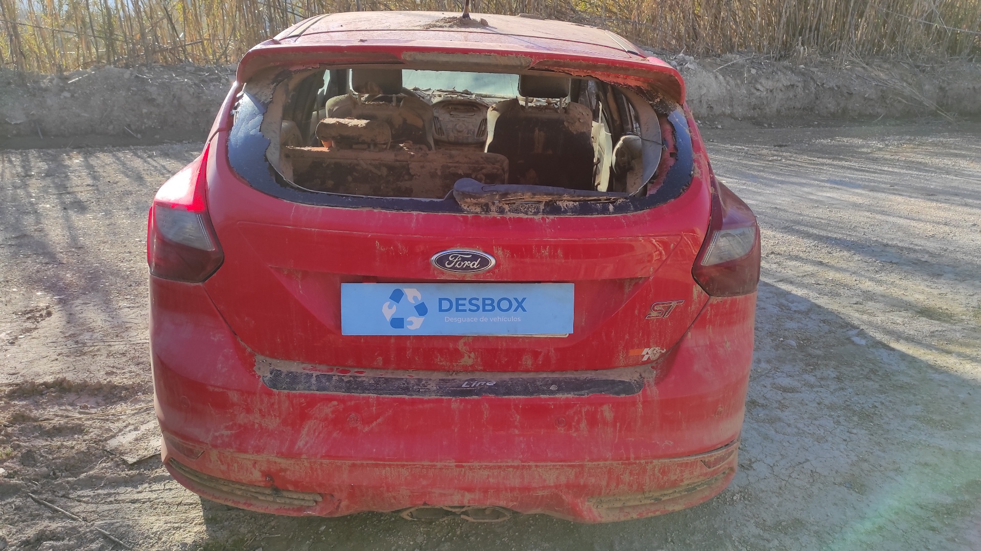 CINTURON DELANTERO DERECHO FORD FOCUS LIM. (CB8) - vista 7