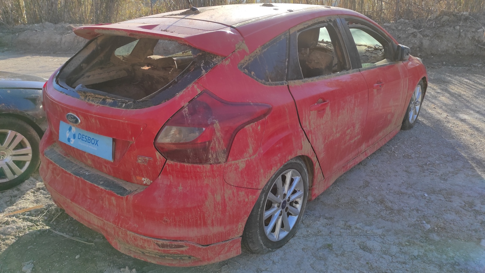 CINTURON DELANTERO DERECHO FORD FOCUS LIM. (CB8) - vista 10