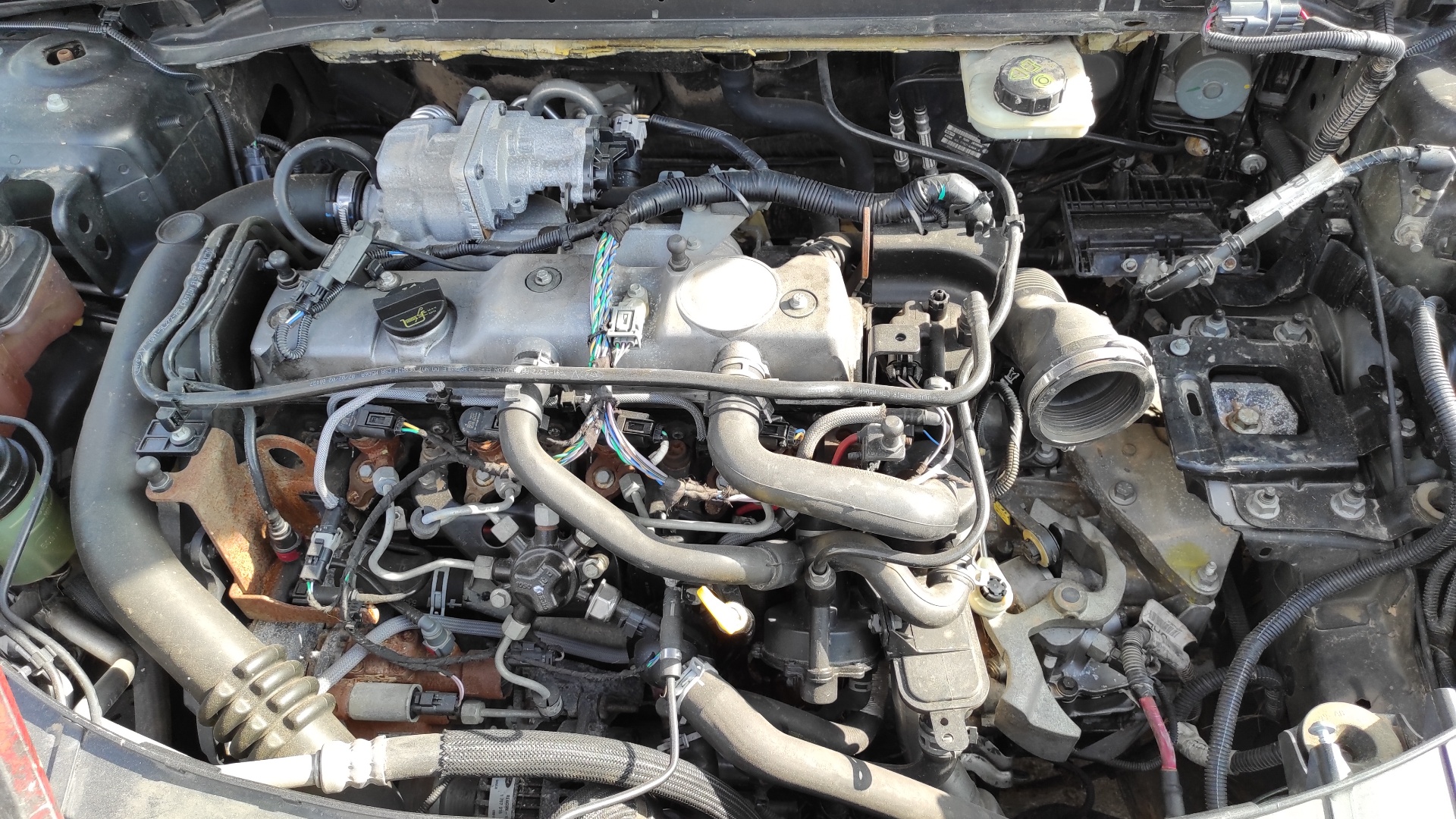 GUARNECIDO PUERTA DELANTERA IZQUIERDA FORD MONDEO BER. (CA2) - vista 10