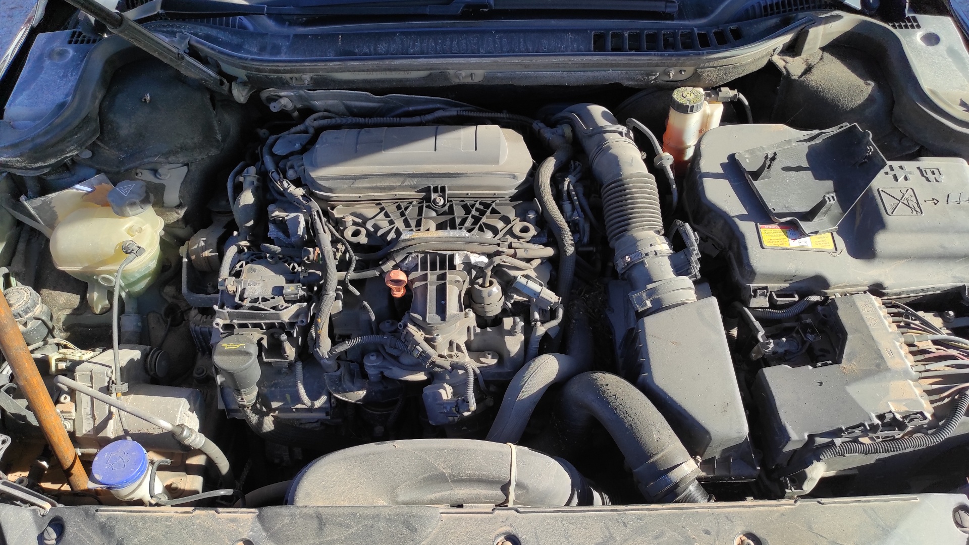 CINTURON DELANTERO IZQUIERDO PEUGEOT 508 SW - vista 16