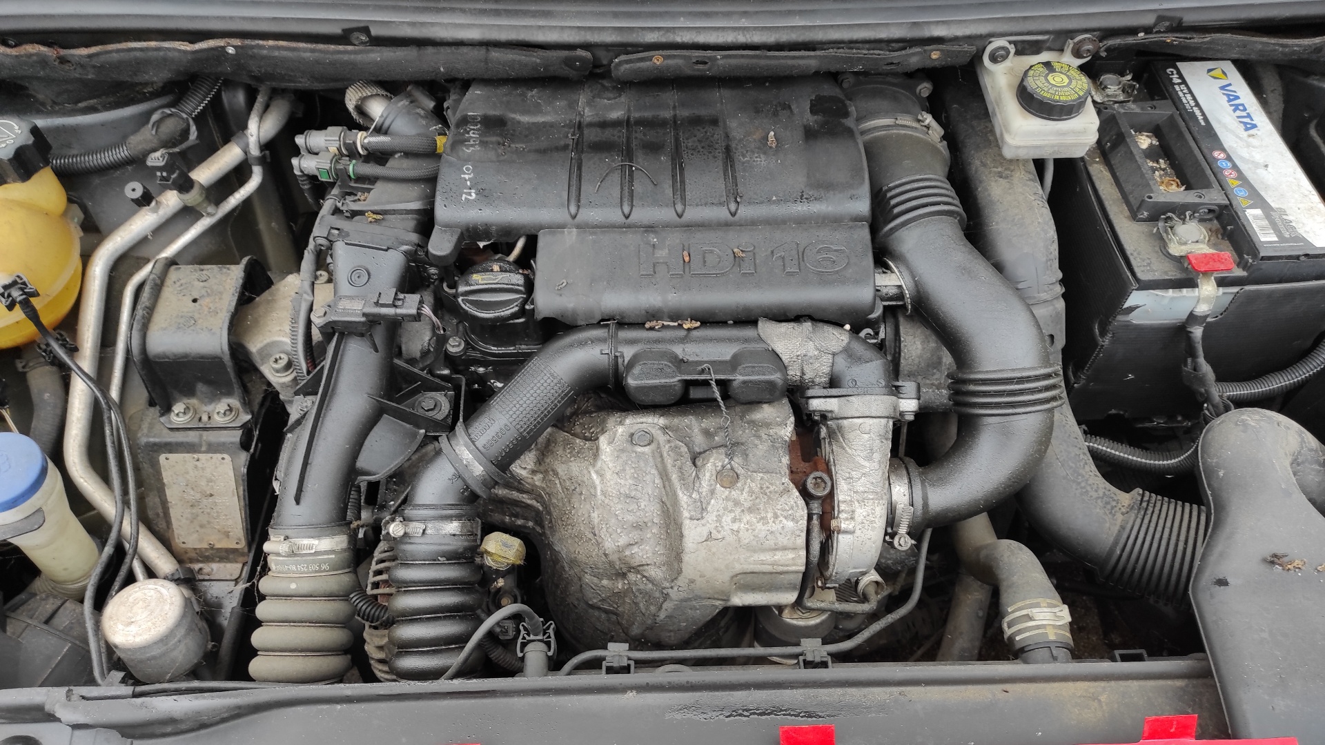 PILOTO TRASERO DERECHO PEUGEOT 307 BREAK / SW (S1) - vista 3